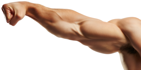 Handsome muscular man arm and hand isolated, triceps and biceps muscles on fit young male athlete person. Flexing, athletic strength and power, strong gym adult, powerful bodybuilder