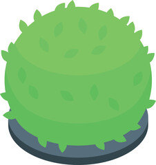 Round shaped green bush growing on a gray ground in isometric view