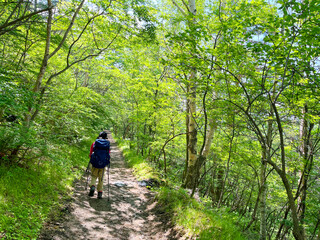 登山をする子供
