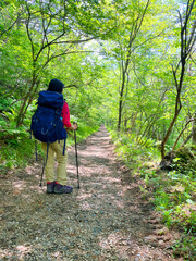 登山をする子供