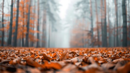 Seasonal Ecosystem Conservation: Vibrant Autumn Forest with Textured Leaves