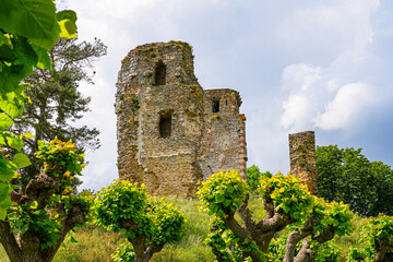 Fototapete bei efototapeten.de bestellen   