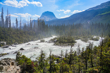 Torrent of raging melt water descending from Takakkaw Falls, fed by the meltwater of the Daly...
