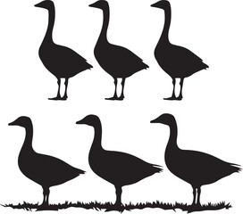 Silhouette set of geese in standing position, vector icon