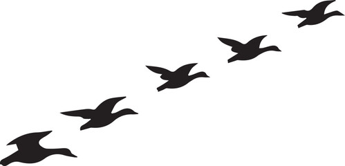 Silhouette of flying birds vector, geese in flight vector 