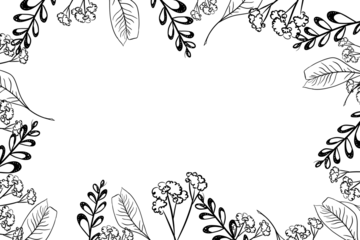 Yarrow flowers with feathers and branches plant with round leaves frame in graphic style hand drawn doodle illustration for use in banner and postcard design