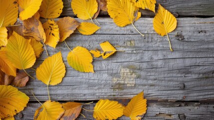 Fototapeta premium Autumn leaves in yellow with room for text on aged wood background