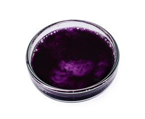 Petri dish with sample isolated on white