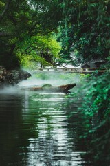 A peaceful Chinese garden scene featuring a small boat floating on a misty pond surrounded by lush greenery.