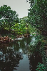 A tranquil pond, lined with lush greenery, reflects the surrounding trees.