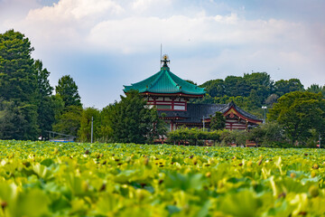 上野恩賜公園