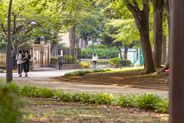 Fototapeta premium 上野公園