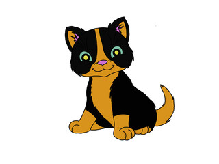 hand drawing the cute orange black cat