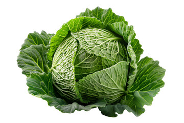Obraz premium Fresh whole cabbage isolated on transparent background