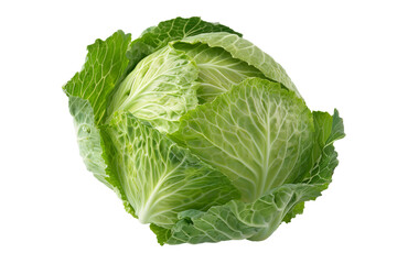 Fototapeta premium Fresh whole cabbage isolated on transparent background