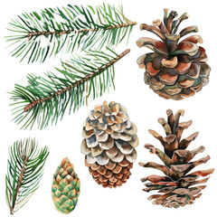 Fototapeta premium A set of watercolor illustrations of painted pine cones and green pine branches, isolated on a transparent background.