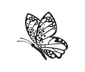 beautiful flying butterfly icon vector illustration