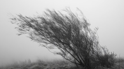 The wind is a symbol of freedom, change and life force. In this era of rapid development, the cement forest seems to imprison the power of the wind, and life gradually loses its poetry and agility