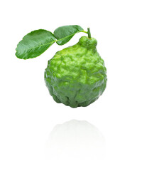 Fresh bergamot flying in the air isolated on white background.