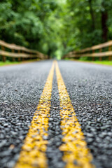 A close-up view of a yellow line on an asphalt road with blurred greenery and wooden fences creating a serene, endless journey perspective.