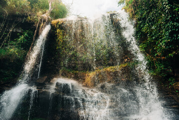 waterfall in the forest