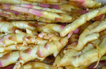 fresh young ginger as food background