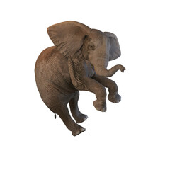 Obraz premium 3d render baby elephant fantasy