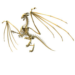 3d render dragon skeleton fantasy creature