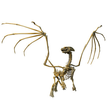 3d render dragon skeleton fantasy creature