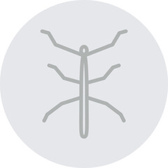 Stick Insect Vector Line Grey Circle Grey