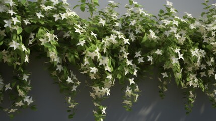 White Flowers Blooming on a Lush Green Vine