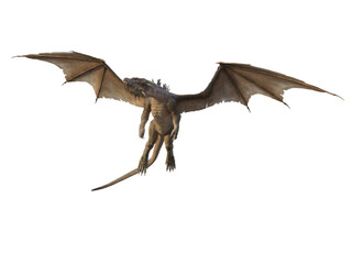 3d rendering dragon wyvern fantasy creature