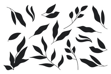 Silhouette Leaves Branch and Floral Plants Collection