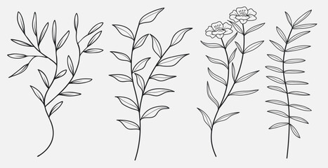 Floral Hand-Drawn Line Collection for Wedding Invitations.Vector illustration