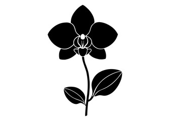 Elegant Orchid Silhouette Designs: Perfect for Floral Art and Decor, Floral Element.