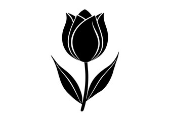 Beautiful Tulip Single Flower and Garden Silhouettes for Art and Illustration