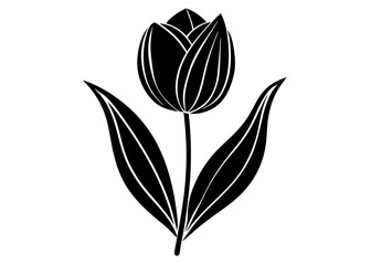 Beautiful Tulip Single Flower and Garden Silhouettes for Art and Illustration