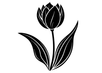 Beautiful Tulip Single Flower and Garden Silhouettes for Art and Illustration