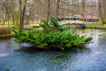 spring in the park