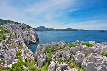 和歌山 由良 白崎海岸 白崎海洋公園 石灰岩 岬