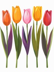 Collection of 2D and 3D Vector Flat Abstract Minimalistic Art of Flowers and Meadow Isolated on a White Background