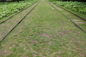 鉄道