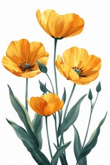 Fototapeta premium Collection of 2D and 3D Vector Flat Abstract Minimalistic Art of Flowers and Meadow Isolated on a White Background