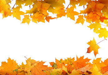 Beautiful yellow, foliage. Natural background. Border frame of golden leaves. Autumn leaves cut outs