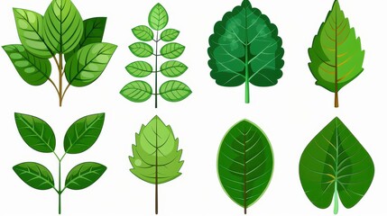 Bright green leaves in simple illustrations stand out against a clean white backdrop, capturing the beauty of nature.