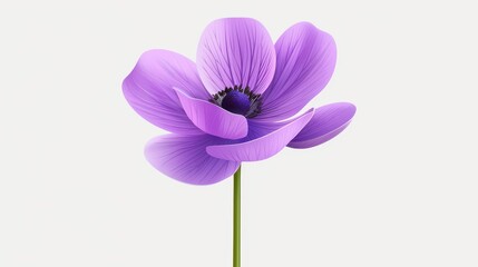 A vibrant purple anemone flower clipart, perfect for adding a splash of color to your designs and projects.