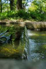 Sunlight and Reflections on Water Flowing Over a Ledge
