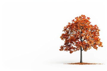 Obraz premium Luxury autumn tree with golden, red, and orange leaves, set against a stark white background