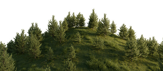 Lush Green Pine Forest Hillside on transparent background. 3D rendering.