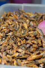 The delicious of traditional indonesian food in Banyumas Regency, Central Java, Indonesia. It was taken on August 6, 2024 by a professional. It's a nice food with Indonesian culture